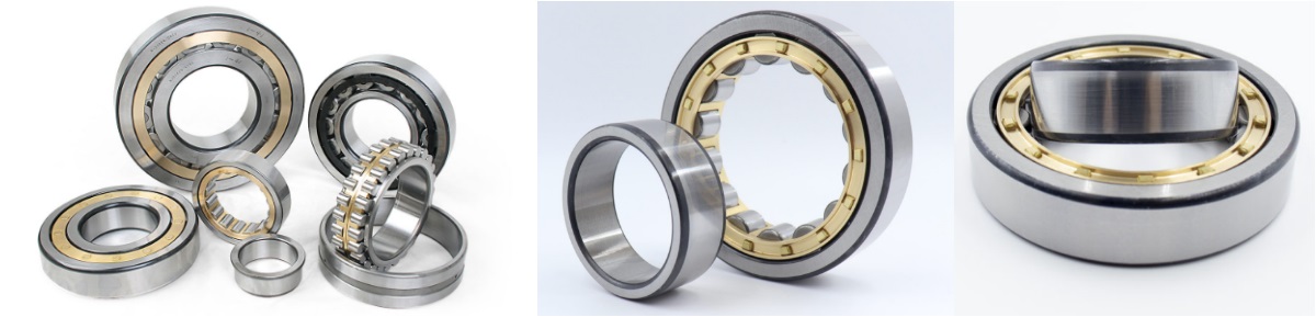 Single Row Cylindrical Roller Bearings and Double Row Cylindrical Roller Bearings